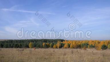 俄罗斯的大规模扩张。 金色的秋天。 <strong>黄红色</strong>的森林在蓝天的背景上，有小卷云。